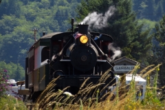 Steam train 3 IMG 0911