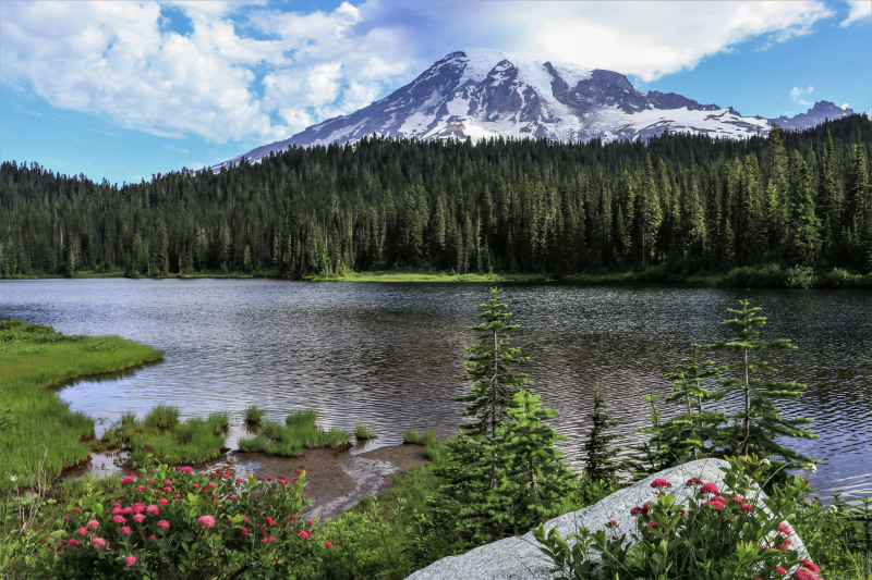 Mt-Rainier-reflection-lake