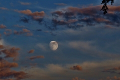 Twilight moon 1