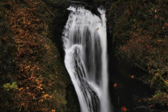 Lower-butte-creek-falls